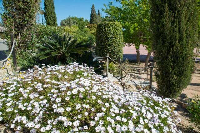فندق كوارذامار ذيل سيغورافي  Residencia Marista Santa Maria Del Mar المظهر الخارجي الصورة